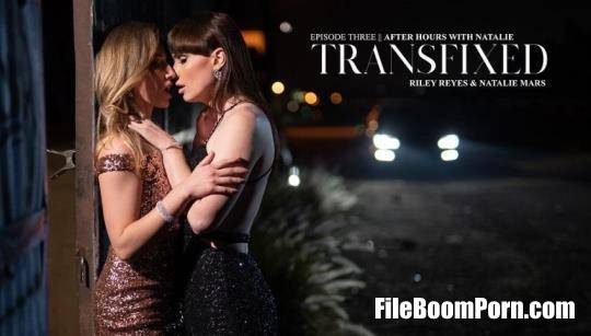 Transfixed, AdultTime: Riley Reyes, Natalie Mars - After Hours With Natalie [UltraHD 4K/2160p/3.98 GB]