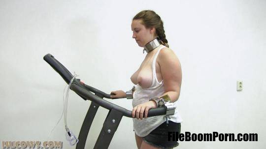 HuCows: Vina - Vina on the treadmill [FullHD/1080p/868 MB]