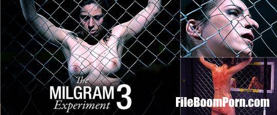 Elite Pain, Maximilian Lomp, Mood Pictures: The Milgram Experiment 3 [HD/720p/2.60 GB]
