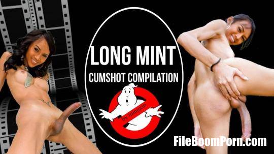 Compilation: Long Mint - Cumshot compilation by minuxin [FullHD/1080p/2.52 GB]
