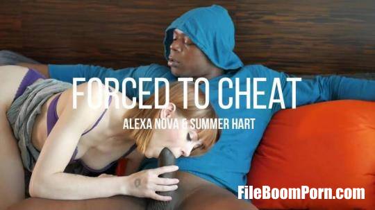 WillTileXXX: Alexa Nova, Summer Hart - Made To Cheat Again [SD/480p/585 MB]