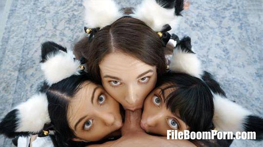 Brooke Johnson, Kitty Cam, Lily Thot - I'm Ready To Join You Guys [HD/720p/867 MB]