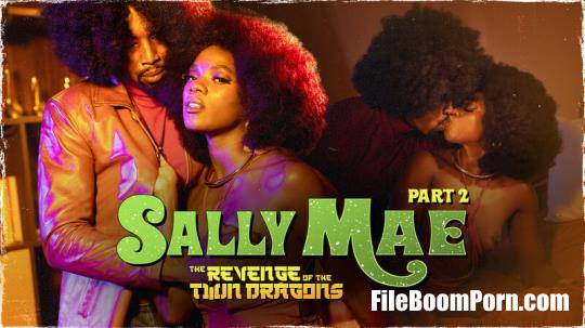 Ana Foxxx - Sally Mae: The Revenge of the Twin Dragons: Part 2 [HD/720p/757 MB]