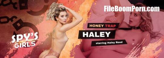 VRSpy: Haley Reed - Honey Trap Haley [UltraHD 2K/1920p/9.36 GB]