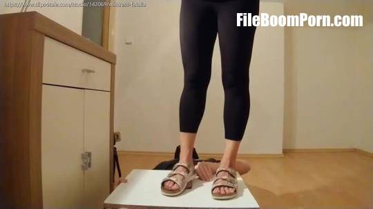 Clips4sale: Abused By Trashed Birkenstock Sandals [SD/480p/185.19 MB]