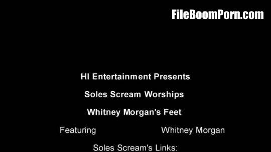 Soles Scream Experience - Whitney Morgans Feet Worshipped [SD/606p/47.25 MB]