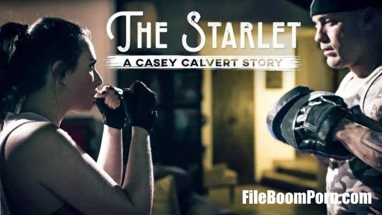 PureTaboo: Casey Calvert - The Starlet: A Casey Calvert Story [SD/544p/614 MB]