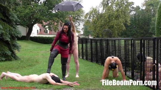 MistressEzadaSinn: Brutal Whipping On A Cold Rainy Day [FullHD/1080p/1.48 GB]