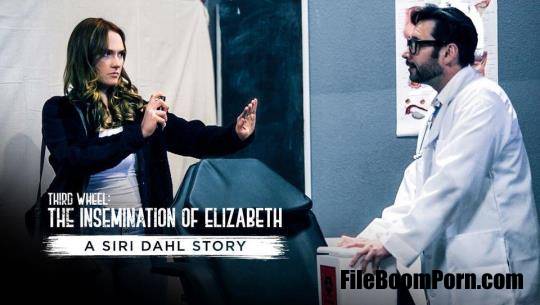 Siri Dahl - Third Wheel: The Insemination Of Elizabeth - A Siri Dahl Story [SD/544p/680 MB]