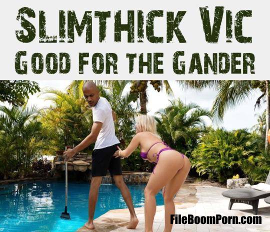 RKPrime, RealityKings: Slimthick Vic - Good For The Gander [HD/720p/410 MB]