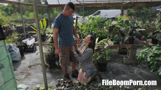 RKPrime, RealityKings: Katie Kingerie, Peter Fitzwell - Getting Banged in the Greenhouse [FullHD/1080p/742 MB]