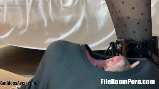 GoddessAven: Boots Cleaning Slave [FullHD/1080p/979.32 MB]