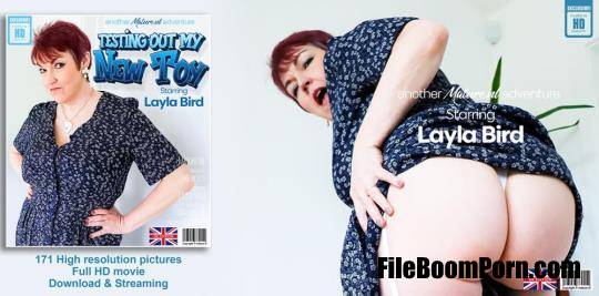 Mature.nl: Layla Bird (EU) (56) - Cougar Layla Bird loves to play with her brand new toy [FullHD/1080p/1.18 GB]