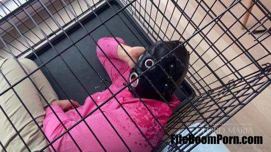 LordGoddessMaria: Degrading My Caged Slave [FullHD/1080p/66.55 MB]