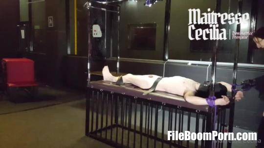 MaitresseCecilia: Now I Am Going To Destroy The Masculinity Left [SD/640p/533.46 MB]