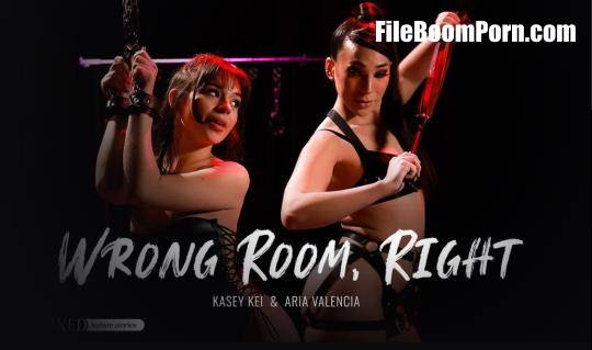 Transfixed, AdultTime: Aria Valencia, Kasey Kei - Wrong Room, Right [SD/544p/594 MB]