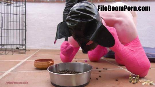 GoddessGynarchy: Shoe eating Puppy Gets Punished [FullHD/1080p/1.96 GB]