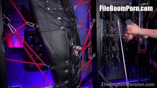TheEnglishMansion: Mistress Sidonia - Framed In Leather - Part 2 [FullHD/1080p/388.04 MB]