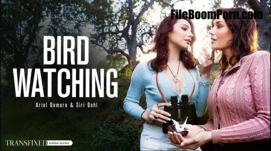 Transfixed, AdultTime: Siri Dahl, Ariel Demure - Bird Watching [FullHD/1080p/2.00 GB]