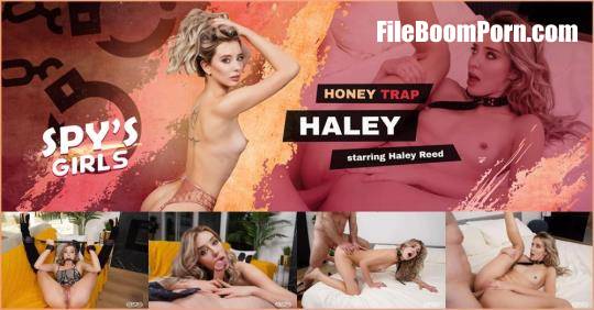 VRSpy: Haley Reed - Honey Trap Haley [UltraHD 4K/4000p/25.1 GB]