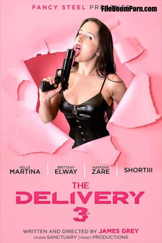 Fancysteel: Brittany Elway, Stacey Shortiii, Kelle Martina - The Delivery 3 [FullHD/1080p/1.45 GB]
