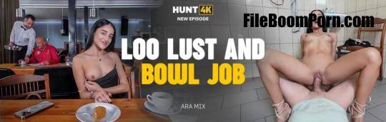 Hunt4K, Vip4K: Ara Mix - Loo Lust And Bowl Job [FullHD/1080p/3.67 GB]