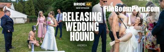 Bride4K, Vip4K: Andrea - Releasing Wedding Hound [FullHD/1080p/2.91 GB]