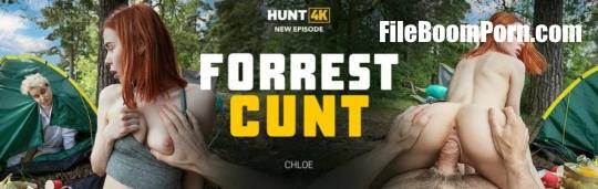 Hunt4K, Vip4K: Chloe - Forrest Cunt [FullHD/1080p/2.40 GB]