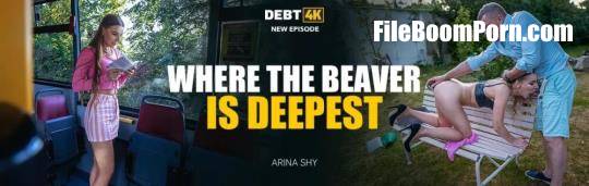 Debt4k, Vip4K: Arina Shy - Where the Beaver is Deepest [SD/540p/908 MB]