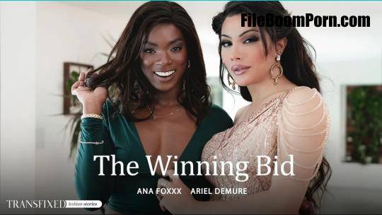 Transfixed, AdultTime: Ana Foxxx, Ariel Demure - The Winning Bid [UltraHD 4K/2160p/3.01 GB]