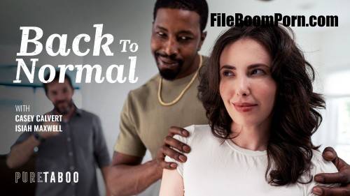 PureTaboo: Casey Calvert - Back To Normal [SD/576p/245 MB]