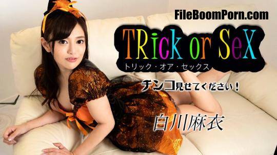 Mai Shirakawa - Trick or Sex: Show me your dick! [FullHD/1080p/1.74 GB]