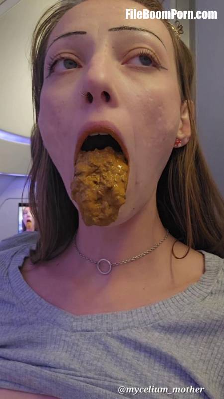 ScatShop: Mycelium_Mother - In-Flight Snack [UltraHD 2K/1920p/1,34 GB]